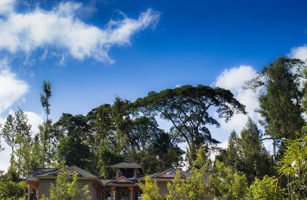 Kuniville Guest House Nyeri Exterior photo